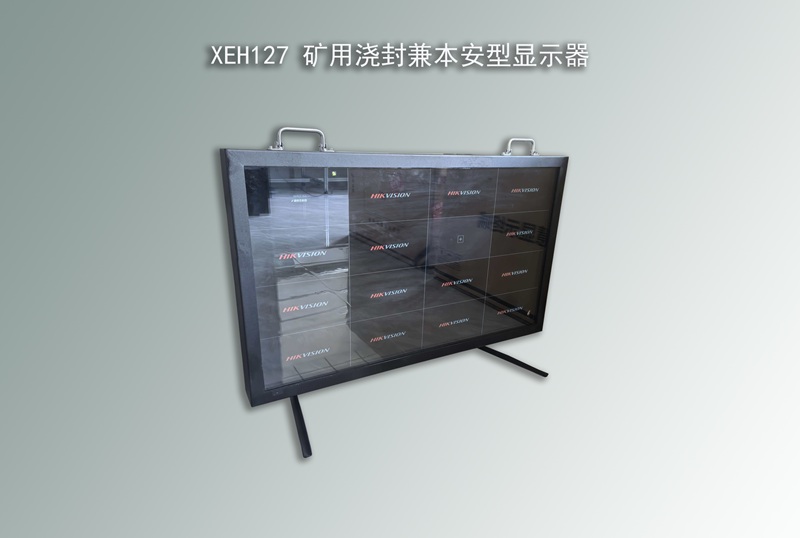 澆封兼本安型顯示器,防爆顯示器