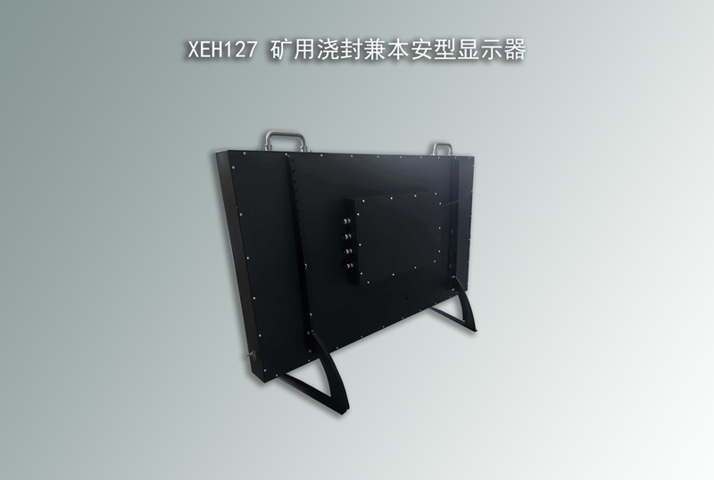 XEH127 澆封兼本安型顯示器,防爆顯示器,本安顯示器